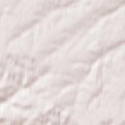 Bogashevo Terrain Map