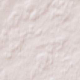 Riebiņi Terrain Map