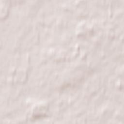 Preiļi Terrain Map