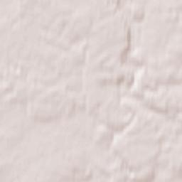 Staraya Toropa Terrain Map