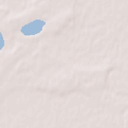 Abatskoye Terrain Map