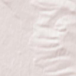 Vikhorevka Terrain Map