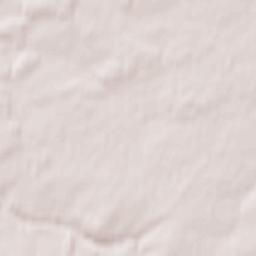 Bogorodskiy Rayon Terrain Map