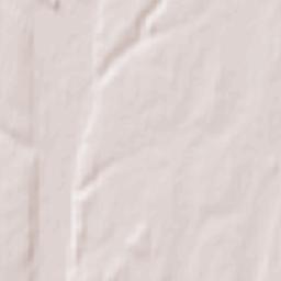 Salantai Terrain Map