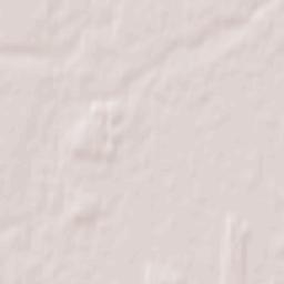 Pasvalys Terrain Map