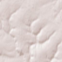 Novyye Lapsary Terrain Map