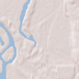 Zvenigovo Terrain Map