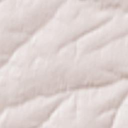 Morgaushi Terrain Map