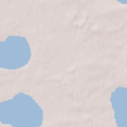 Armizonskoye Terrain Map