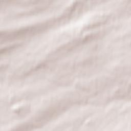 Livingston Terrain Map