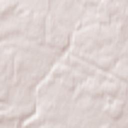 Istrinskiy Rayon Terrain Map