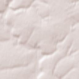 Mariinsko-Posadskiy Rayon Terrain Map