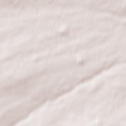 East Whitburn Terrain Map