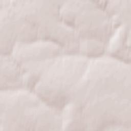 Spasskoye Terrain Map