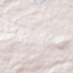 Cambuslang Terrain Map