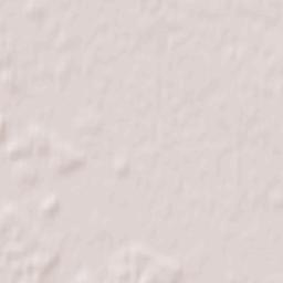 Radviliskis Terrain Map