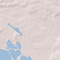 Staraya Kupavna Terrain Map