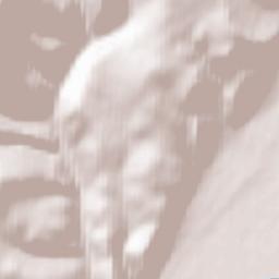 Nizhneangarsk Terrain Map