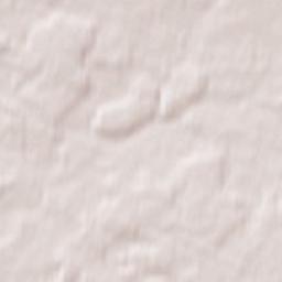 Purshevo Terrain Map