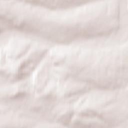 Shalinskoye Terrain Map