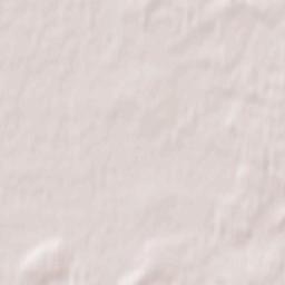 Gusevskiy Terrain Map