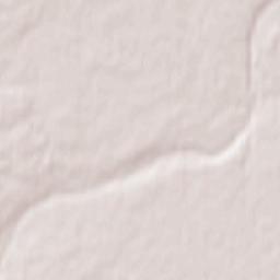 Velizh Terrain Map