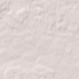 Rechitsy Terrain Map