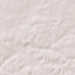 Avsyunino Terrain Map