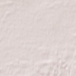 Shatura Terrain Map