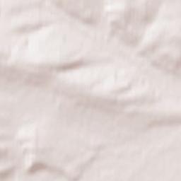 Partizanskoye Terrain Map