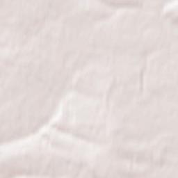 Pokosnoye Terrain Map