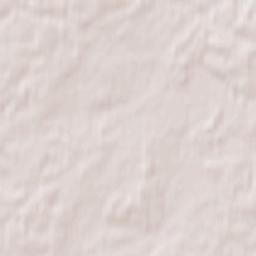 Savasleyka Terrain Map