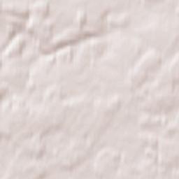 Shishkin Les Terrain Map