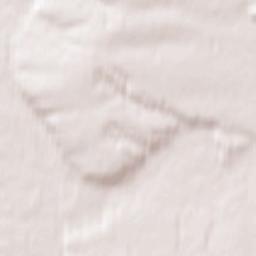 Balakhta Terrain Map