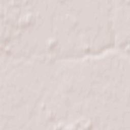 Žemaičių Naumiestis Terrain Map