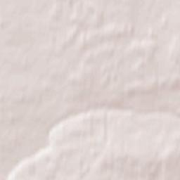 Dolgoderevenskoye Terrain Map