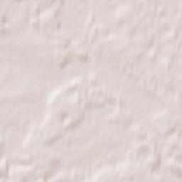 Dmitrovskiy Pogost Terrain Map