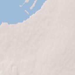 Alekseyevskoye Terrain Map