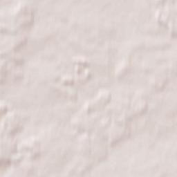 Hlybotski Rayon Terrain Map