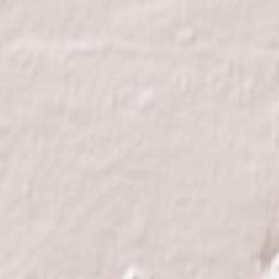 Zheleznodorozhnyy Terrain Map