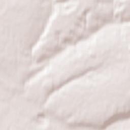 Novosibirskiy Rayon Terrain Map