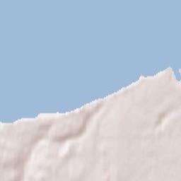 Svetlogorsk Terrain Map