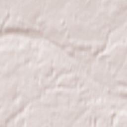 Nemenčinė Terrain Map