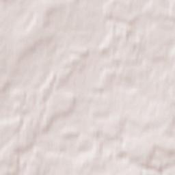 Detchino Terrain Map