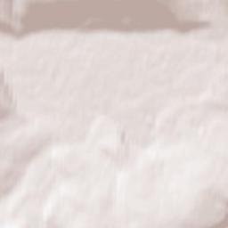 Zhigalovo Terrain Map