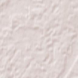 Kazlų Rūda Terrain Map