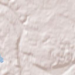 Grigiškės Terrain Map