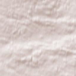 Grizzly Trail, Swan Hills, AB T0G 2C0, Canada Terrain Map