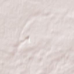 48 Durham Road, Coatham Mundeville Terrain Map