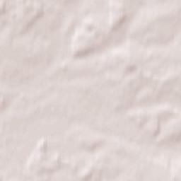 Skaidiškės Terrain Map